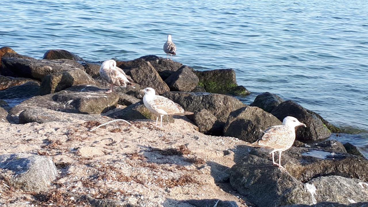 Dachgeschosswohnung Mit Seeblick Ahrensbok المظهر الخارجي الصورة